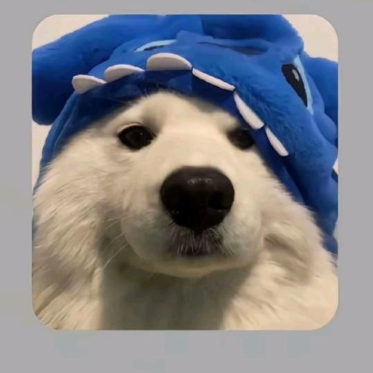 558