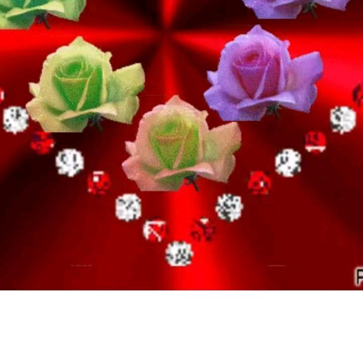德国阳光