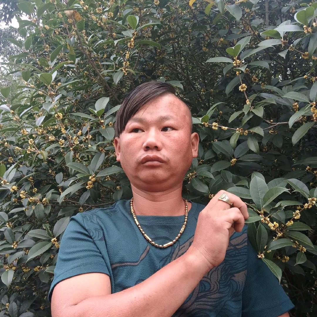 陈正宏((要贩子》养皖西大鹅了