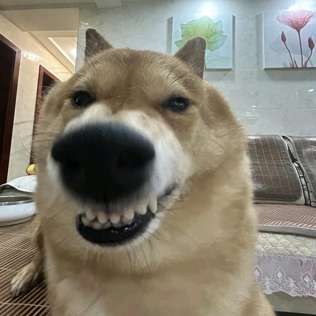 热带雨林