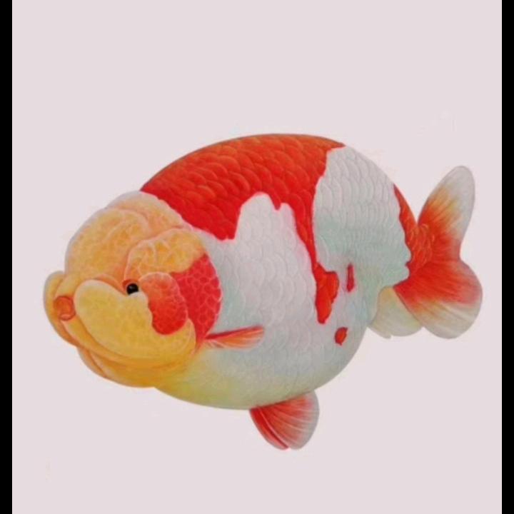 求吉耳