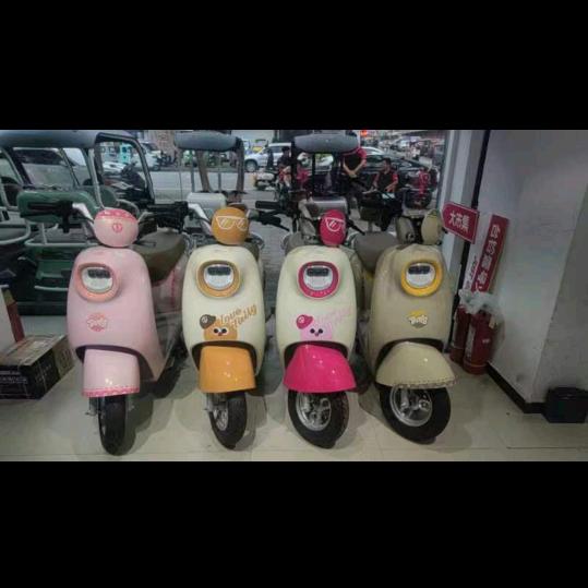 （镇平）黄庄台铃电动车