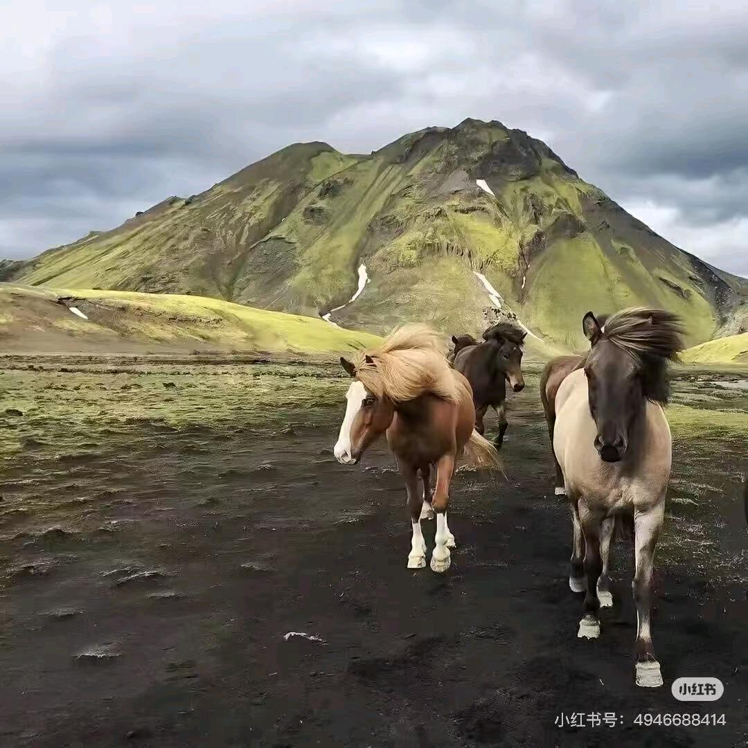 轻舟已过万重山