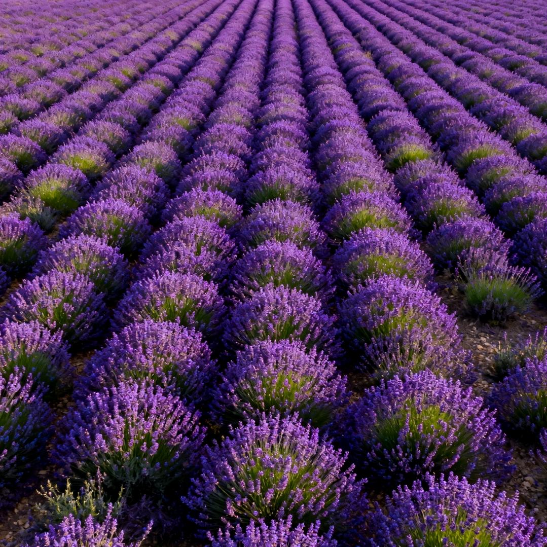 ℒℴѵℯ阿伟大叔🐣💕²¹¹