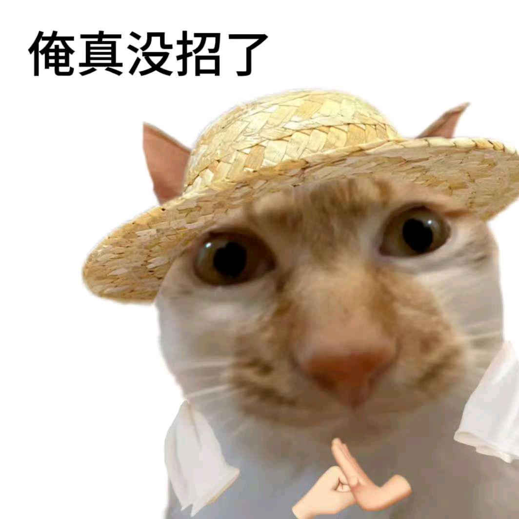 小飞兔