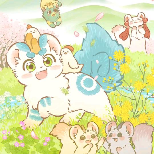 小土豆爱分享