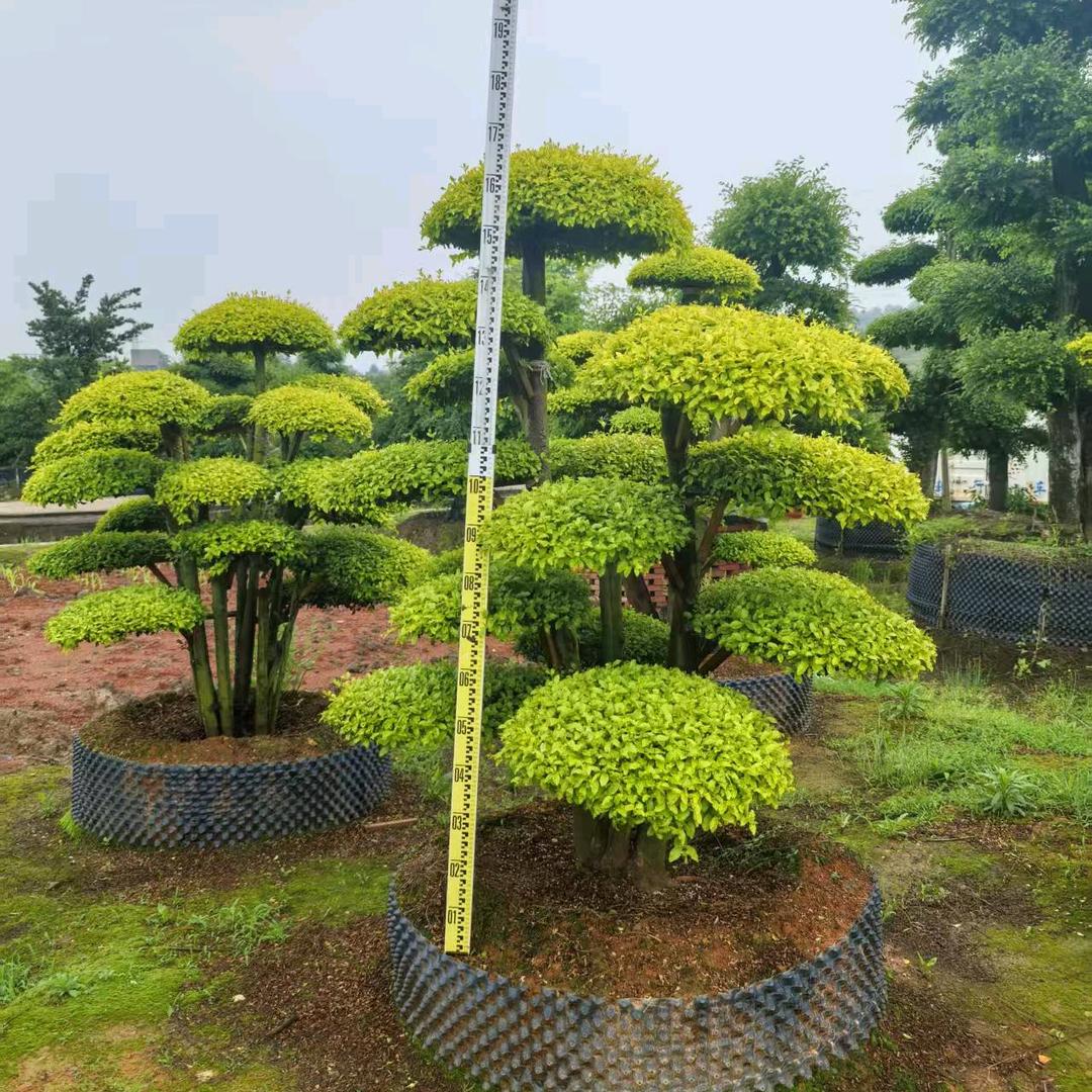 浏阳嘉越园林
