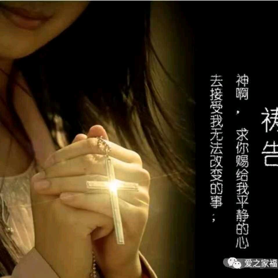 老贾