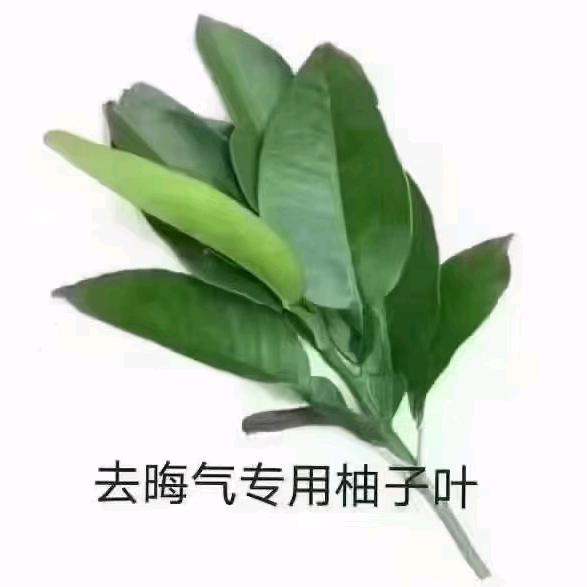 甜心宝贝