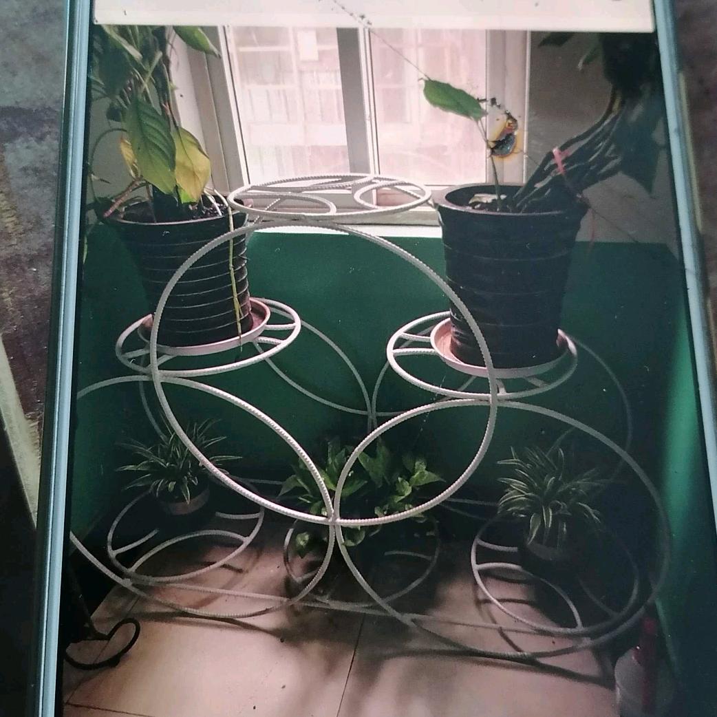 看淡一切，都是浮云