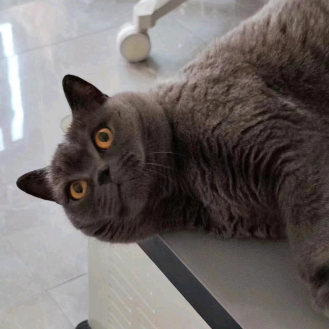 无畏偏偏意气用事