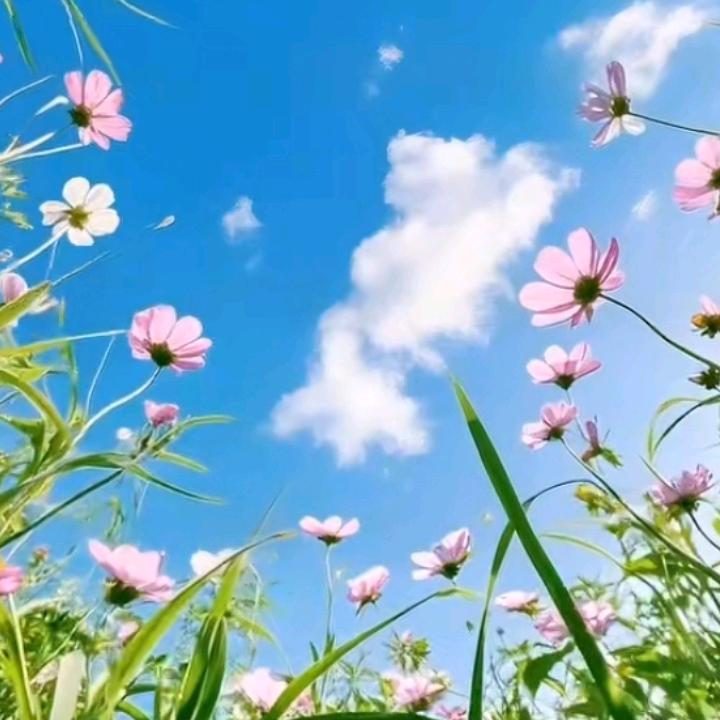 💖南炫月💖