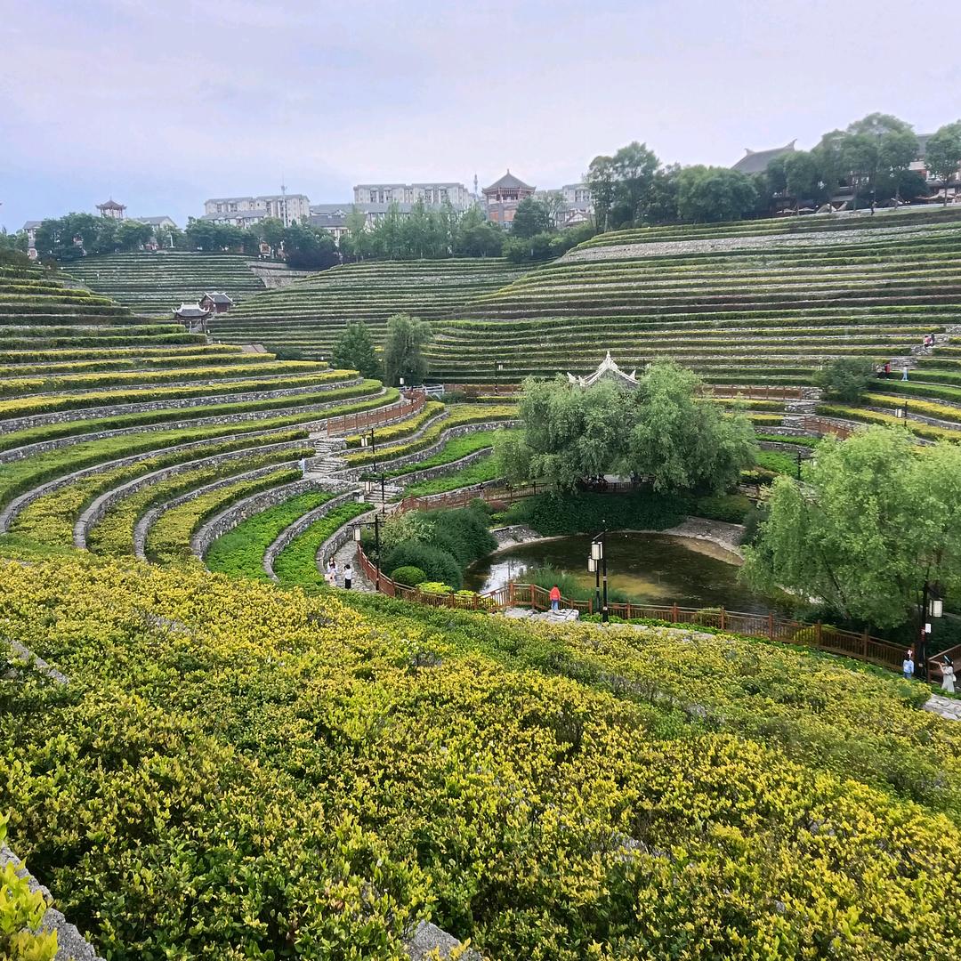 এ᭄ꦿ꯭心灰意冷 ꧔ꦿ᭄℘