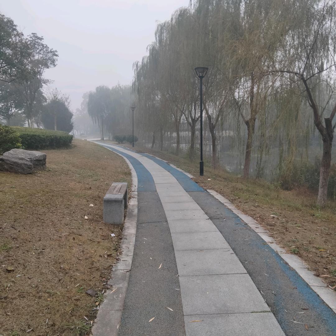 河边的小路静悄悄