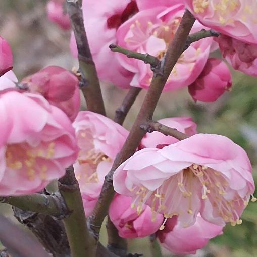 ༄ﻬོ双人ོ余ོ࿆ྂཾ࿆࿐