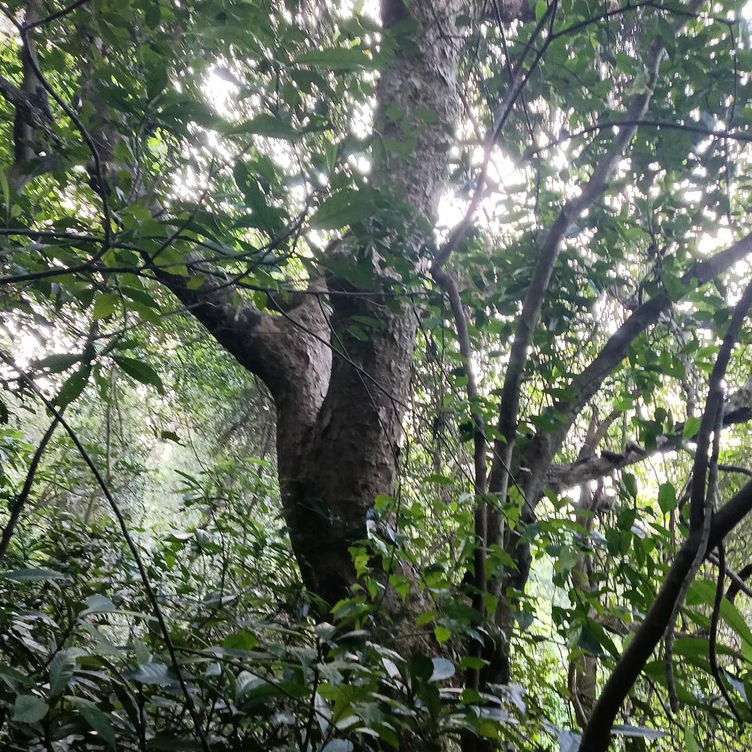 顺风顺水