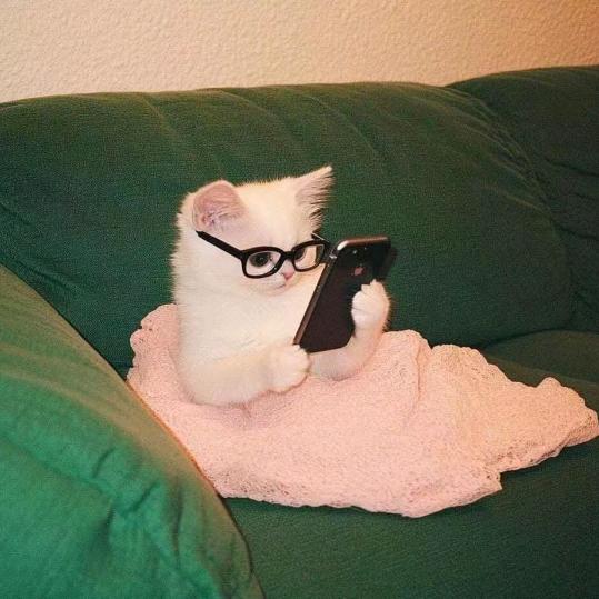 阿里达人招募服务商（来财版）