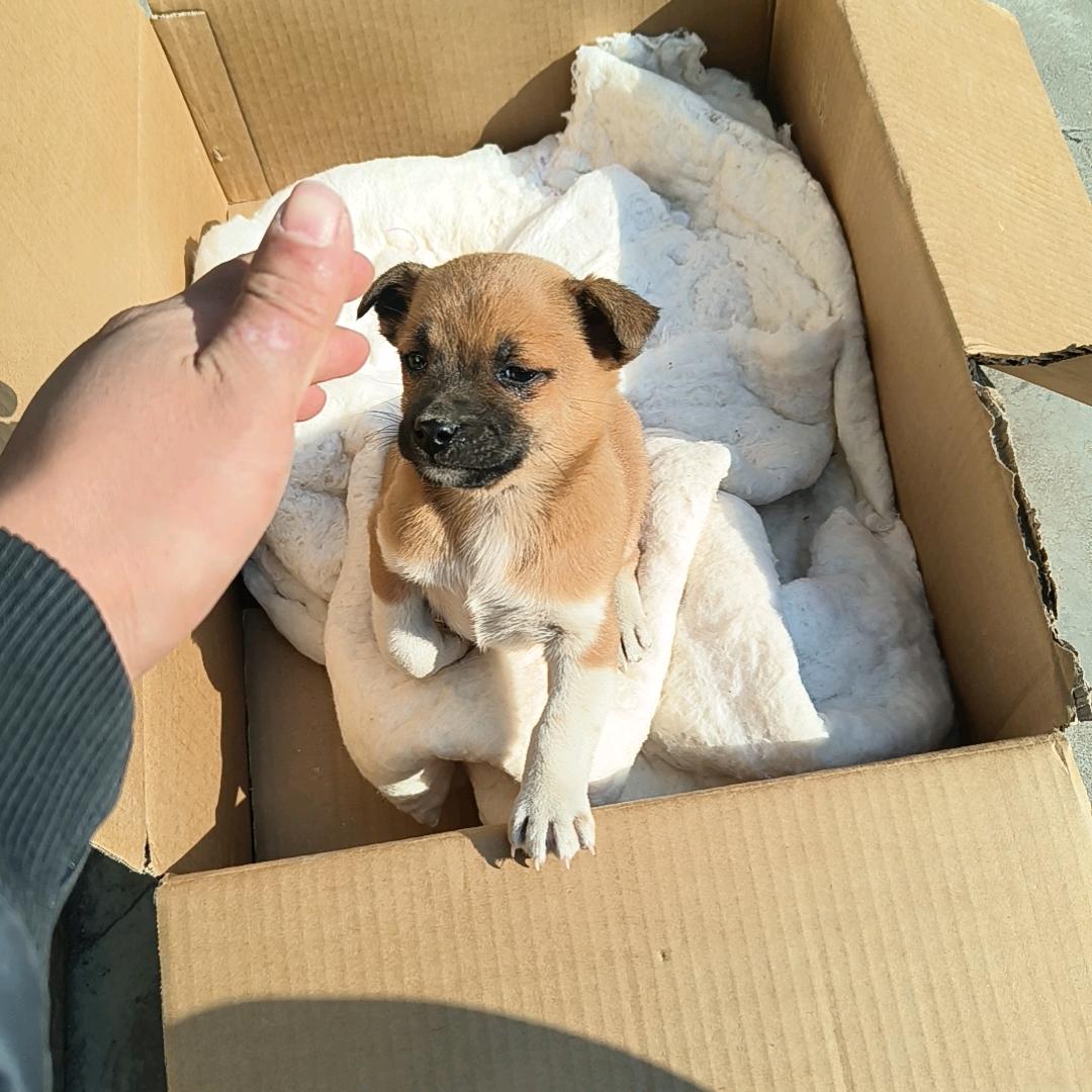 魑魅魍魉