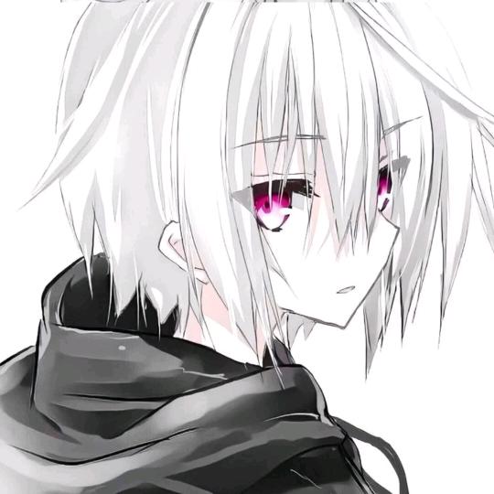 𝙯