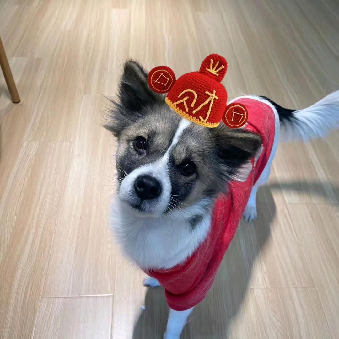 随风🧗‍♂️🧗‍♂️🧗‍♂️