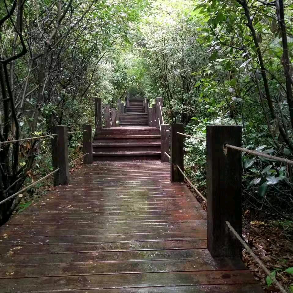 彼此