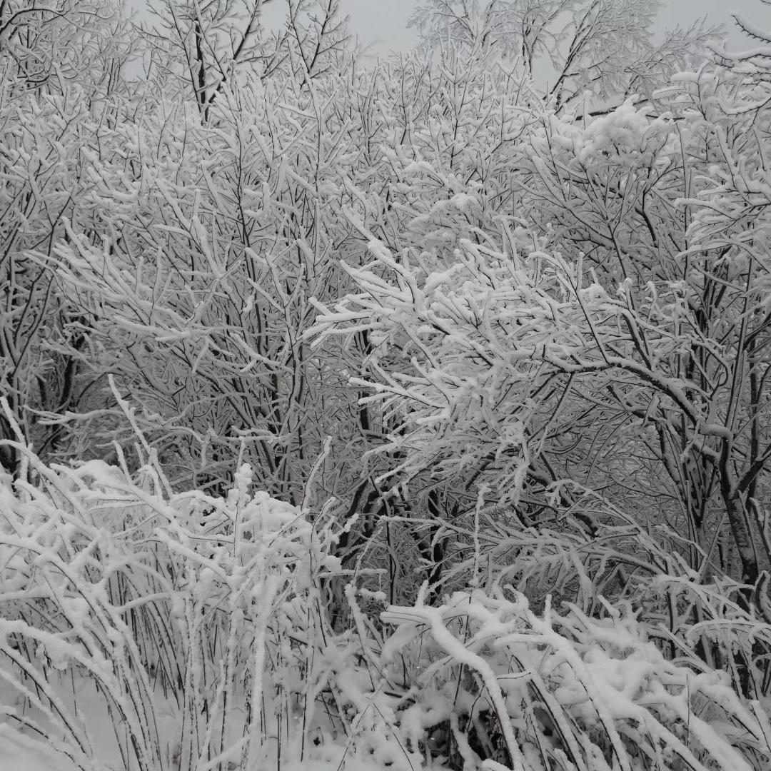 (˵¯͒〰¯͒˵)鱼