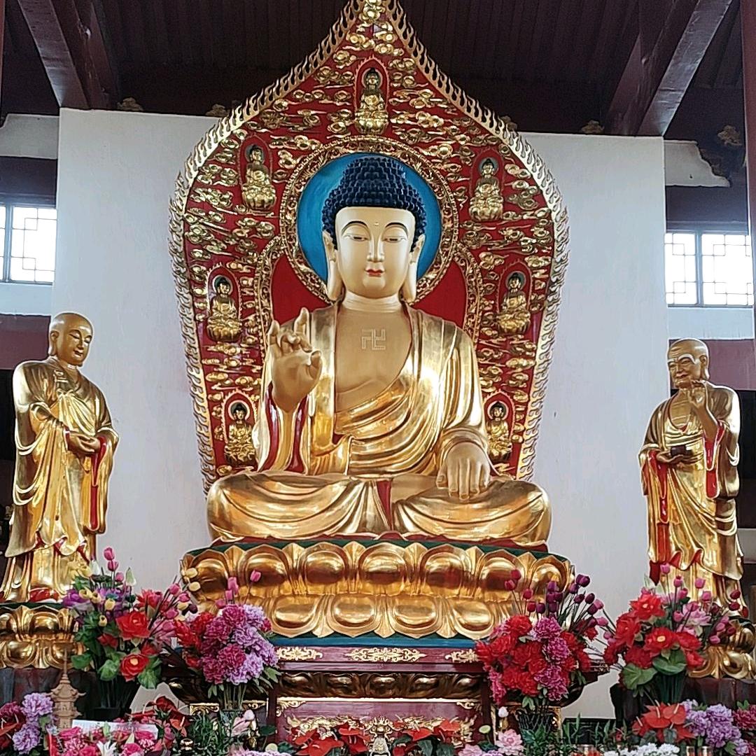 珠澳印务杨太冬冬（珠澳生活号)