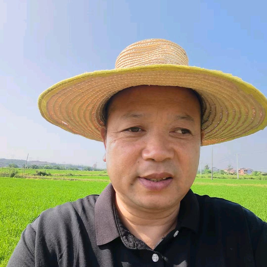 阿伟歌