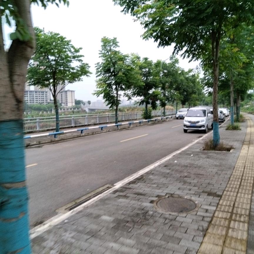 明月风