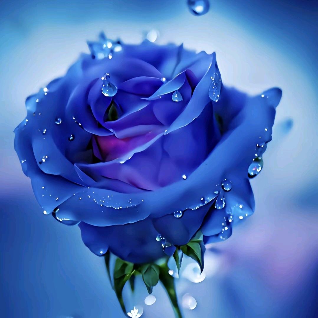 李家二小姐（拒绝私聊）