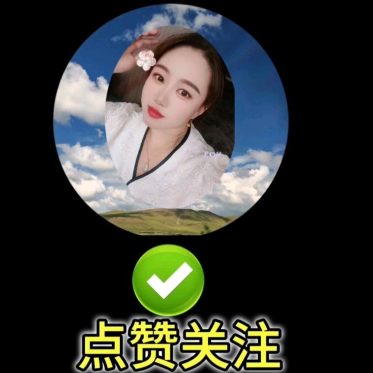 贵妃爱象棋