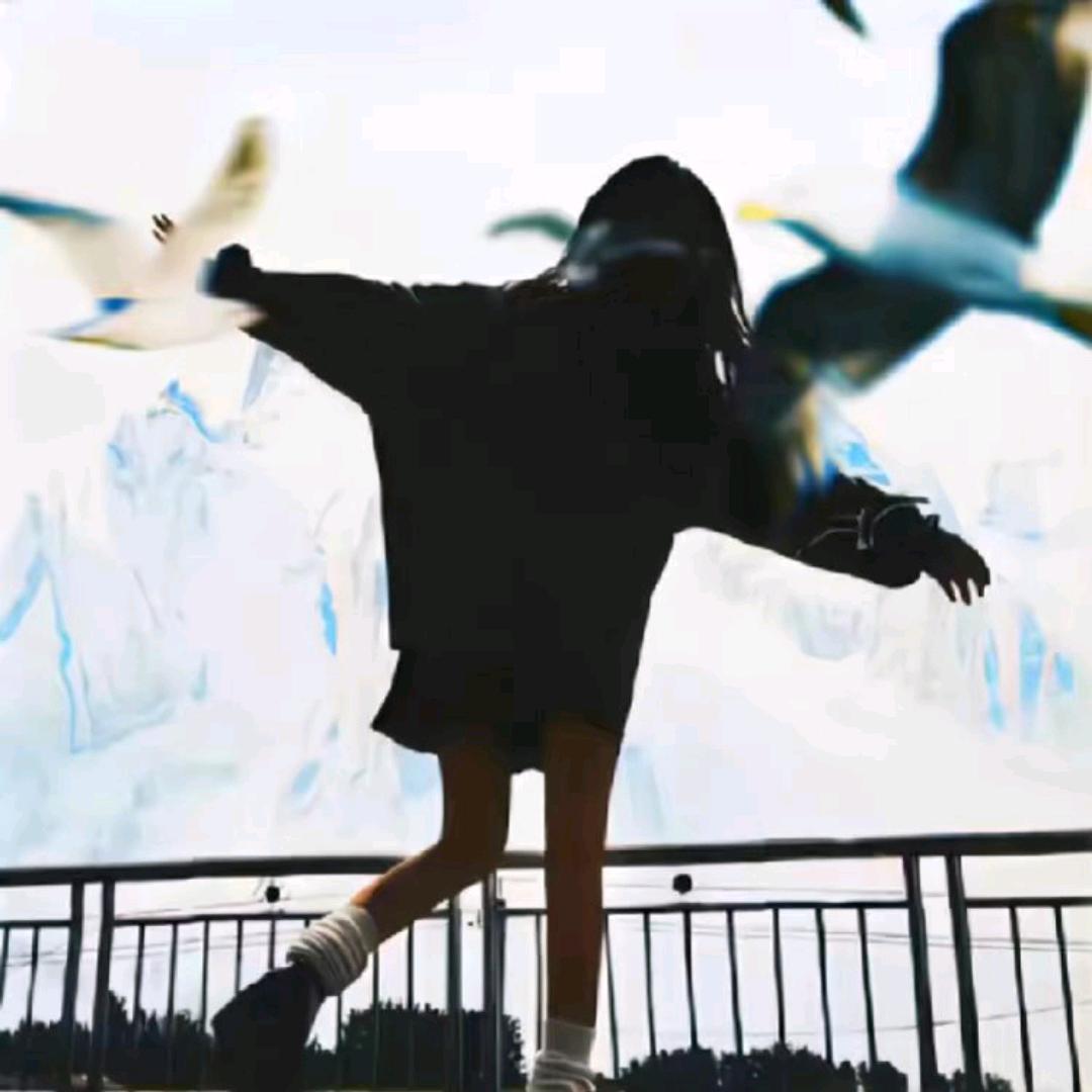 .z彩虹