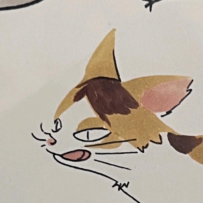 阿里嘎多米阿喵🐱