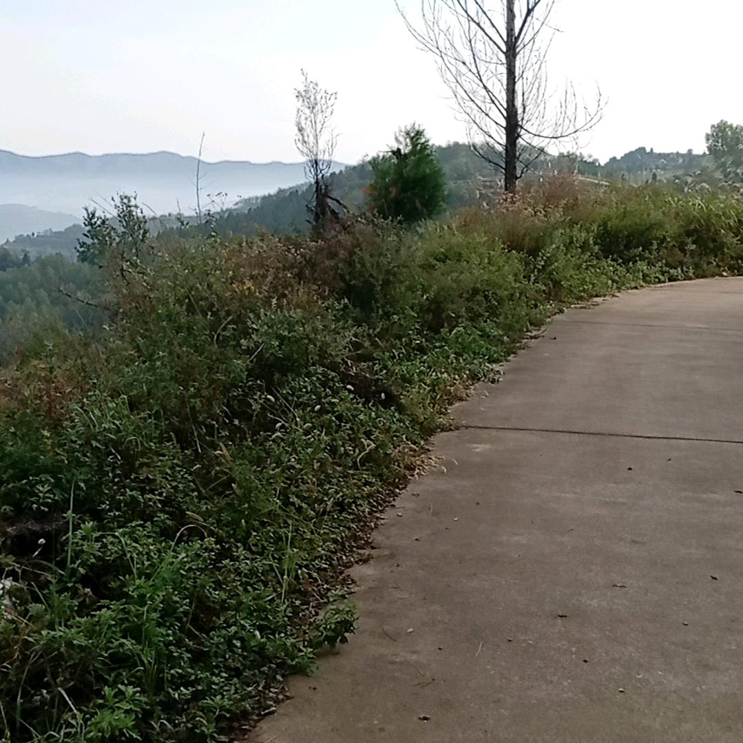 👺 时光不停变迁*