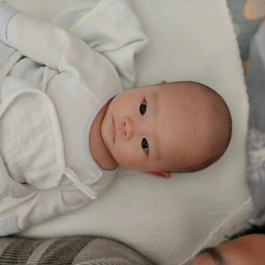 小张的快乐生活