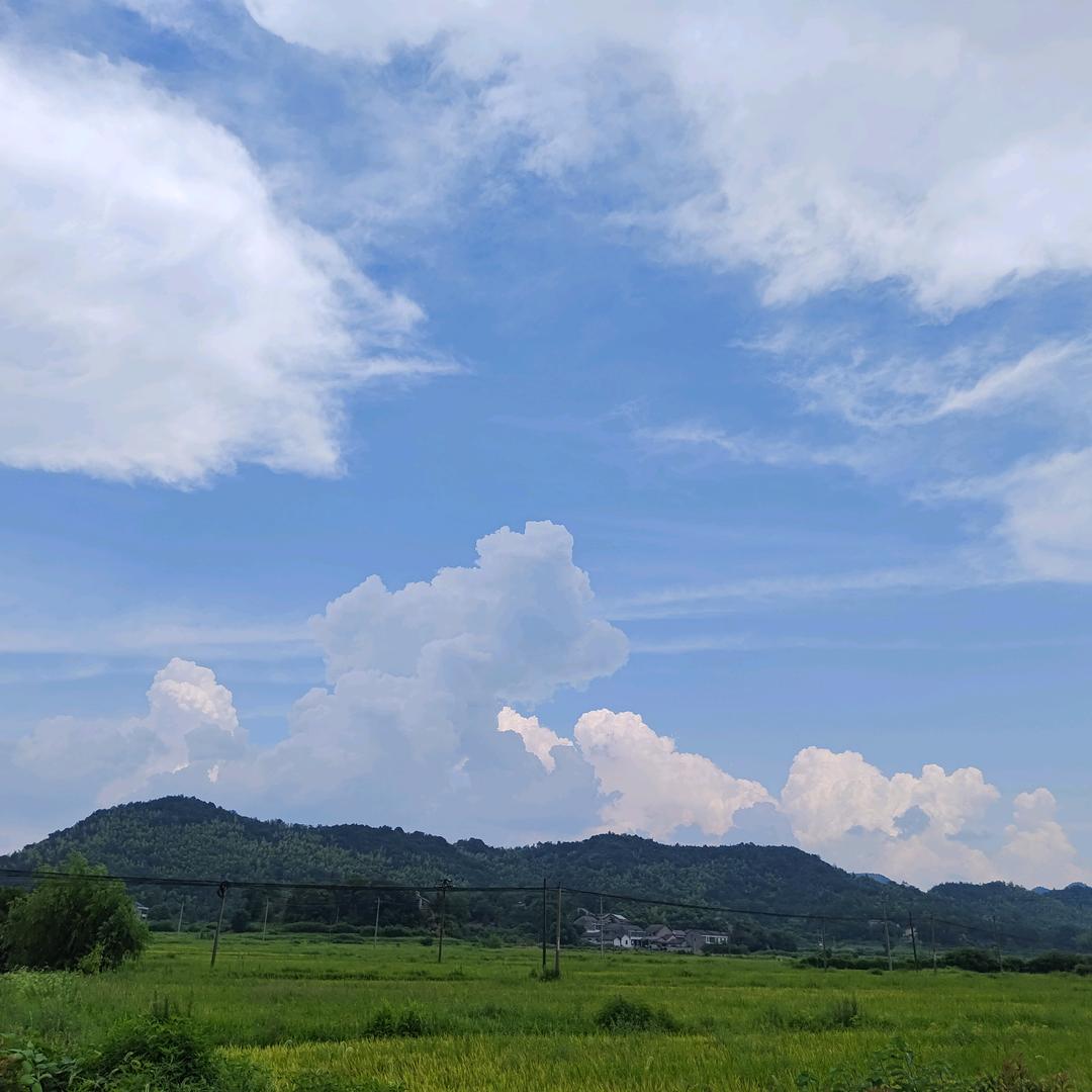 何鑫