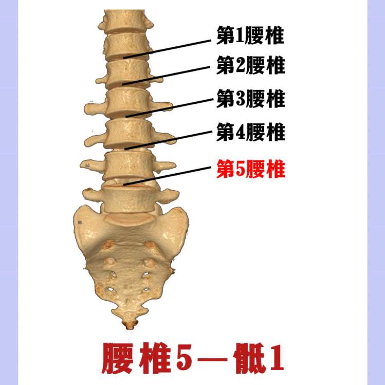 老李讲骨病