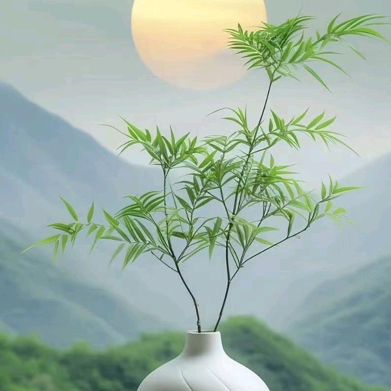 慧智8
