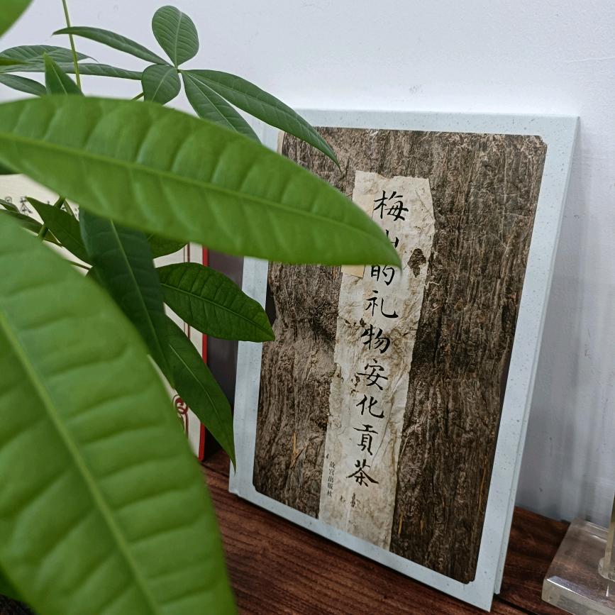 国礼茯茶