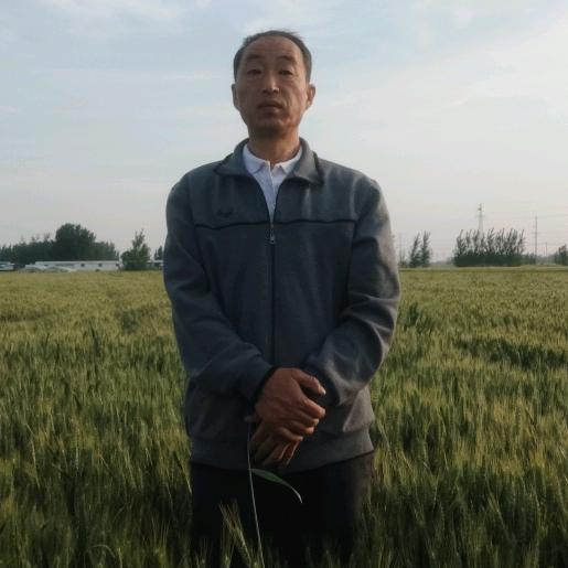畅聊天地