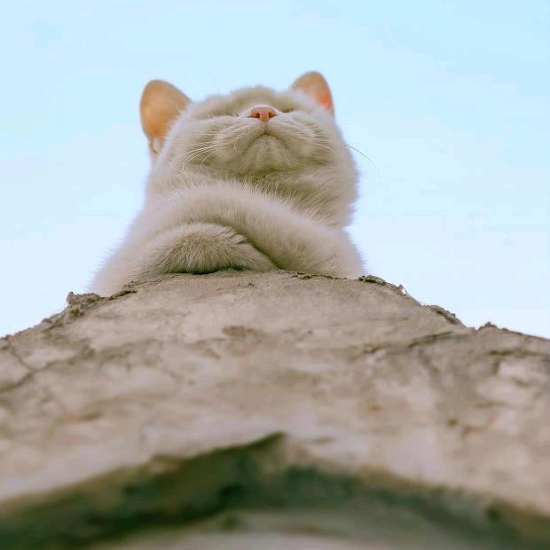 中国成语🇨🇳