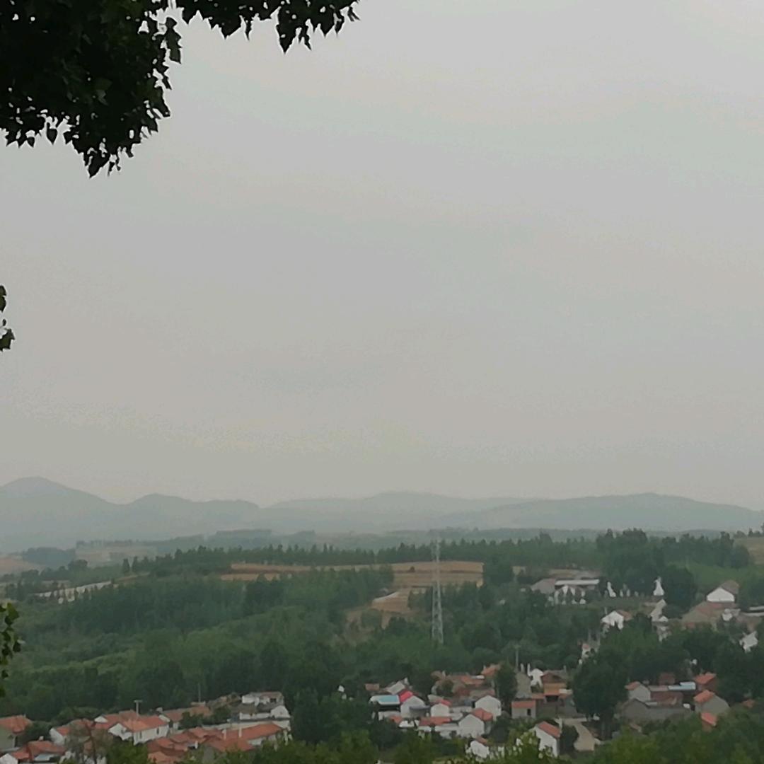 保三哥.