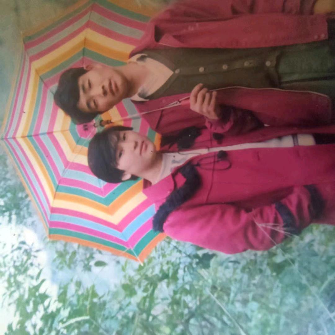 自由飞翔