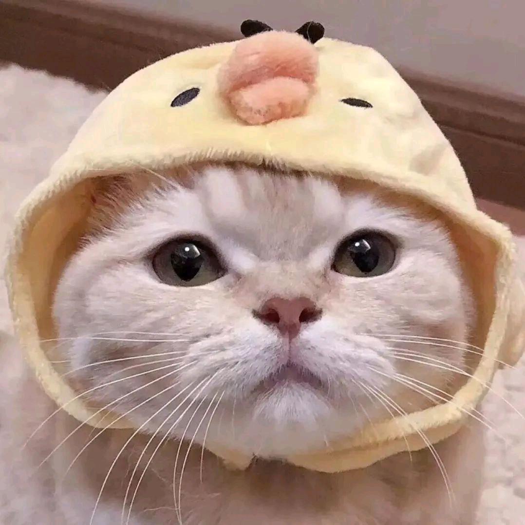无.