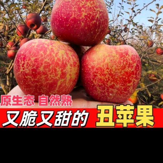 ╰旧々时光♥％（有关必回）