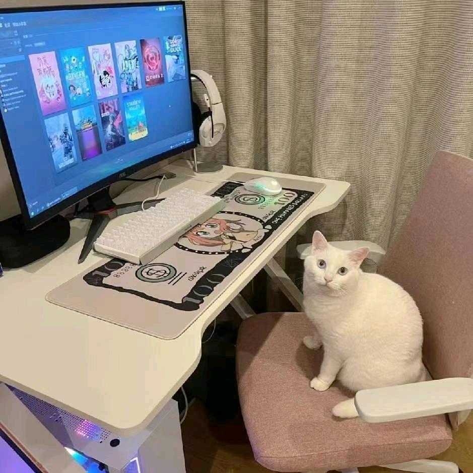 CC租赁