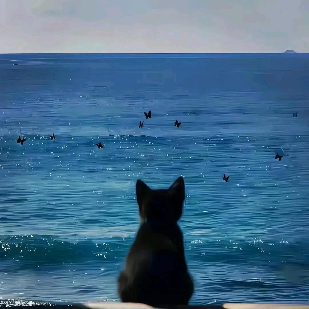 ꧁༺ཌ༈星💔河༈ད༻꧂¹³¹⁴₅₂₀