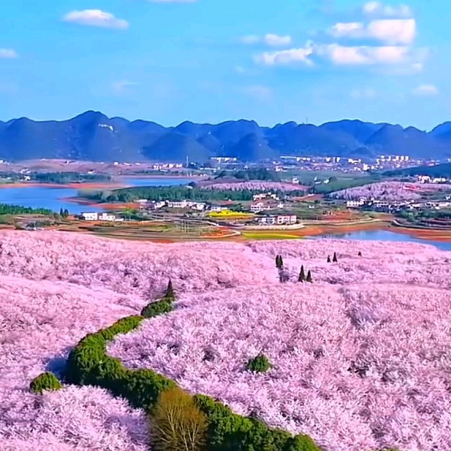 域