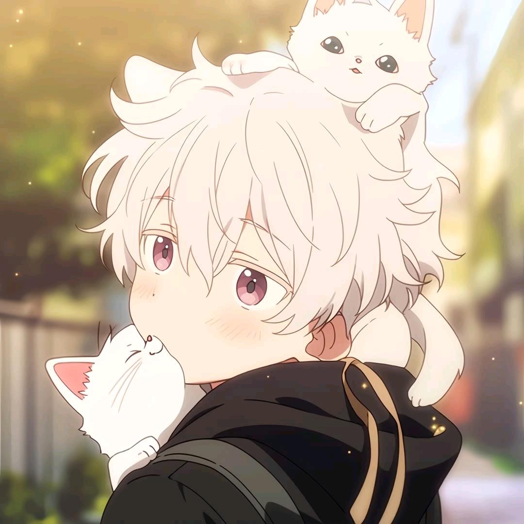 SUNの