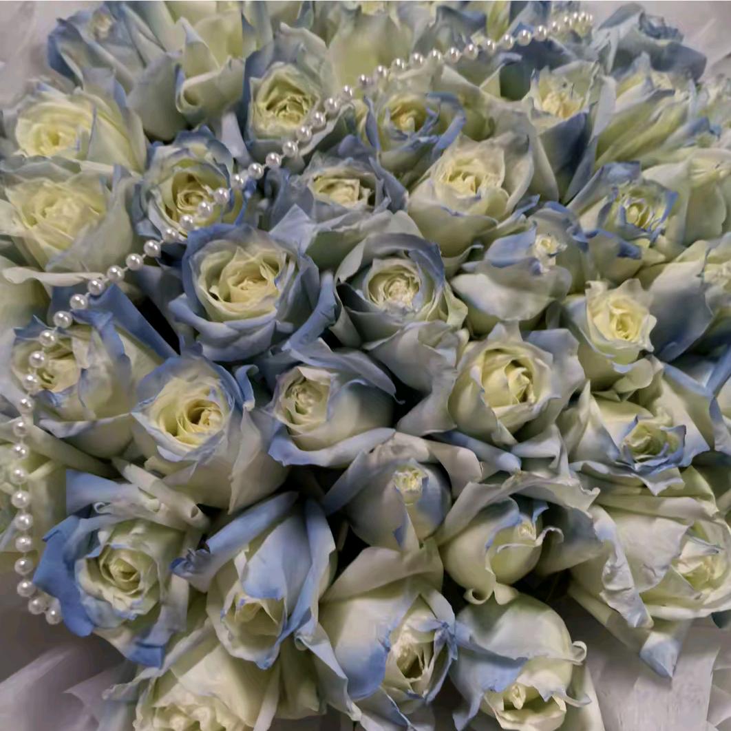 ✧*｡往事🐲清零✧*｡